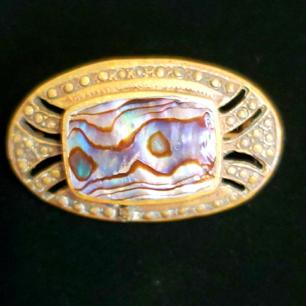 Abalone brooch/pin
